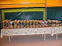 IMG_0661.jpg